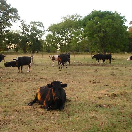 Hotel De Campo La Morena Ezeiza Zewnętrze zdjęcie